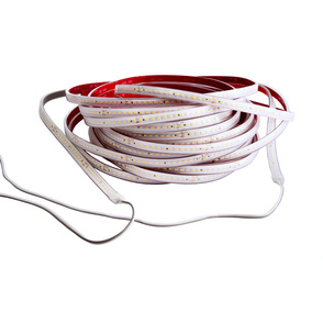 LED Stripes ab IP44 bei Neuwirdt-Elektrotechnik GmbH in Dornburg-Thalheim